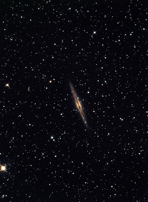 NGC891 Galaxy